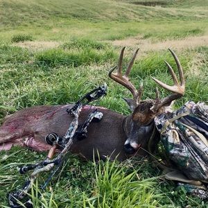 Meet your Posher, Jordan